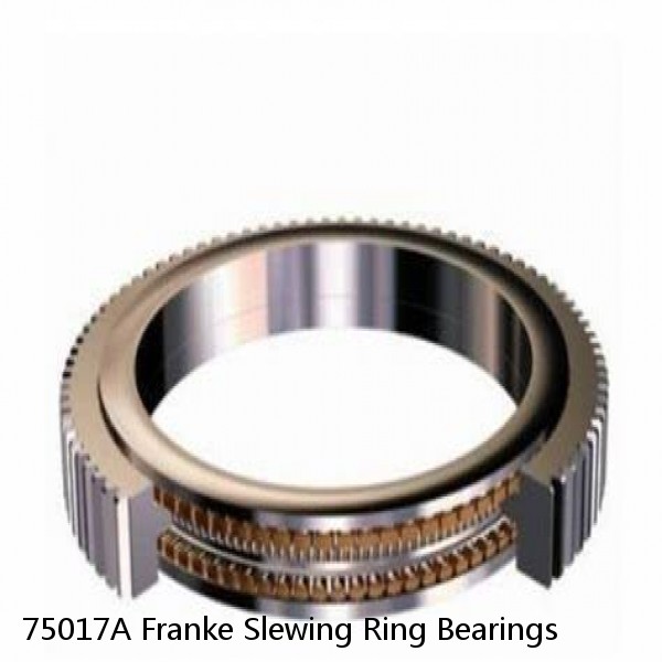 75017A Franke Slewing Ring Bearings #1 small image