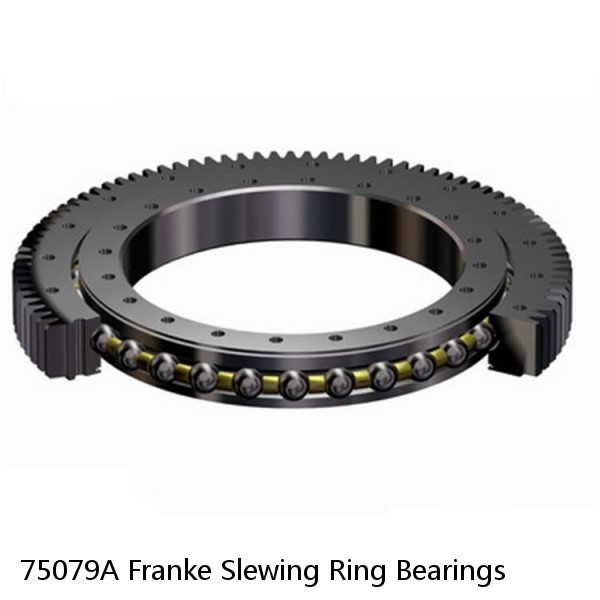 75079A Franke Slewing Ring Bearings #1 small image