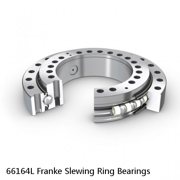 66164L Franke Slewing Ring Bearings #1 small image