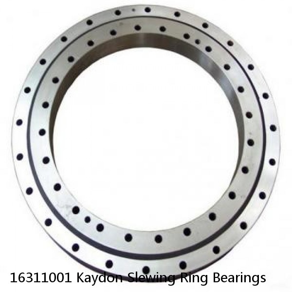 16311001 Kaydon Slewing Ring Bearings #1 small image