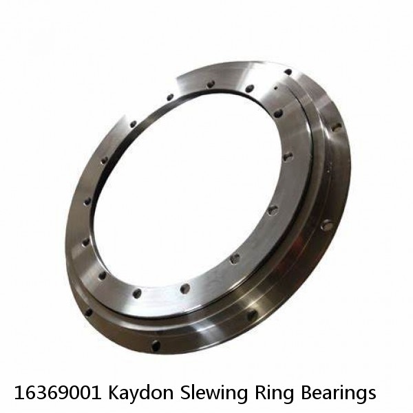 16369001 Kaydon Slewing Ring Bearings #1 small image