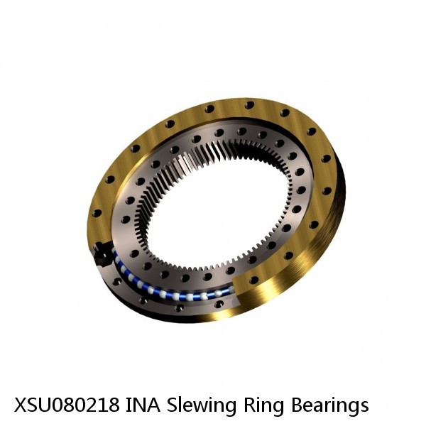 XSU080218 INA Slewing Ring Bearings #1 small image