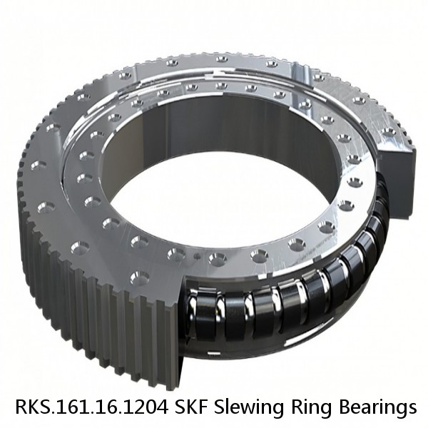 RKS.161.16.1204 SKF Slewing Ring Bearings #1 small image