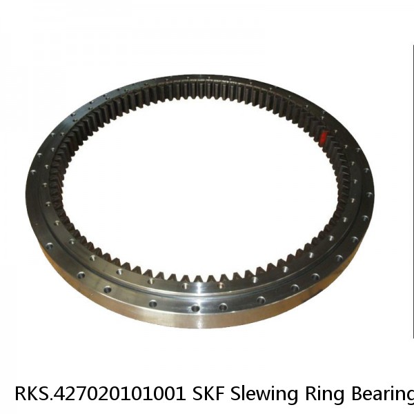 RKS.427020101001 SKF Slewing Ring Bearings #1 small image