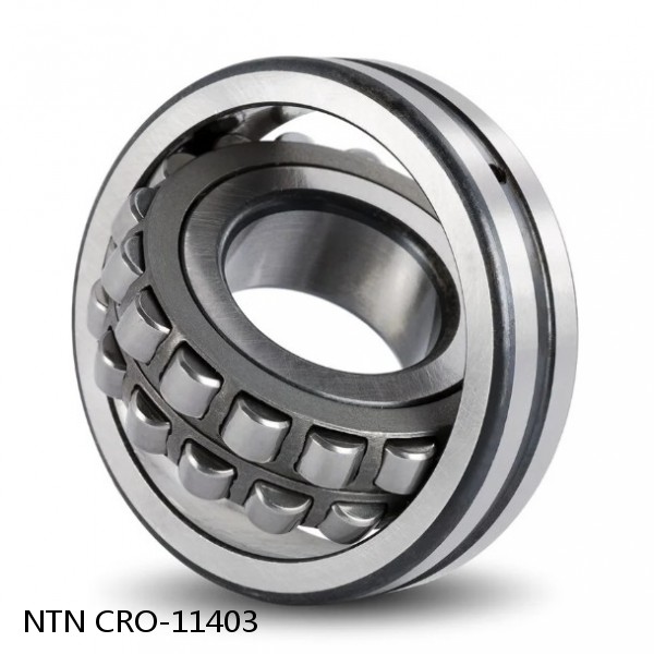 CRO-11403 NTN Cylindrical Roller Bearing #1 small image