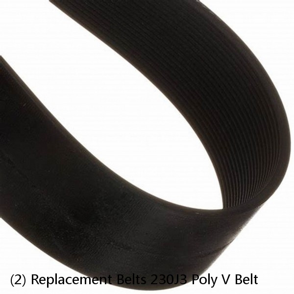 (2) Replacement Belts 230J3 Poly V Belt