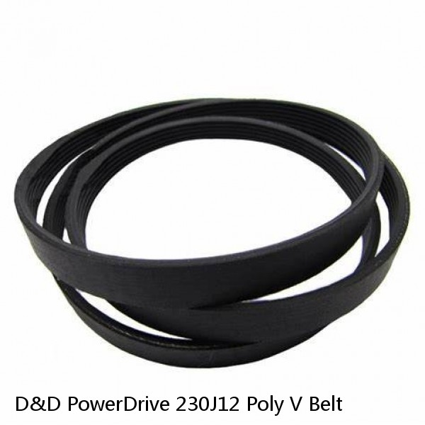 D&D PowerDrive 230J12 Poly V Belt #1 small image