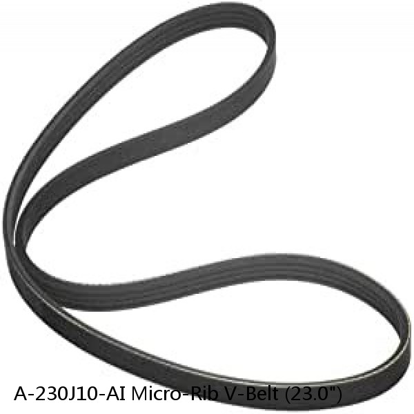 A-230J10-AI Micro-Rib V-Belt (23.0") #1 small image