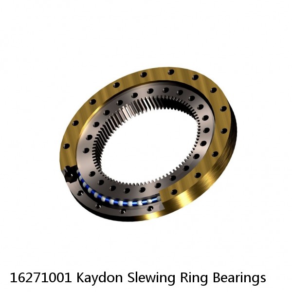 16271001 Kaydon Slewing Ring Bearings #1 image