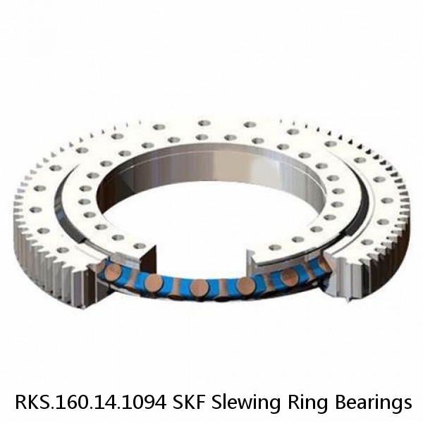 RKS.160.14.1094 SKF Slewing Ring Bearings #1 image