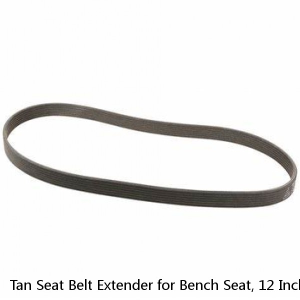 Tan Seat Belt Extender for Bench Seat, 12 Inches hot v8 truck #1 image
